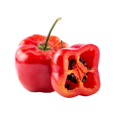 rocoto